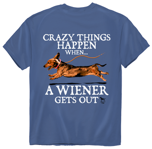 American Fido | Crazy Things Happen 1240